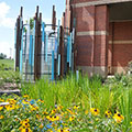 Vegetative green roof